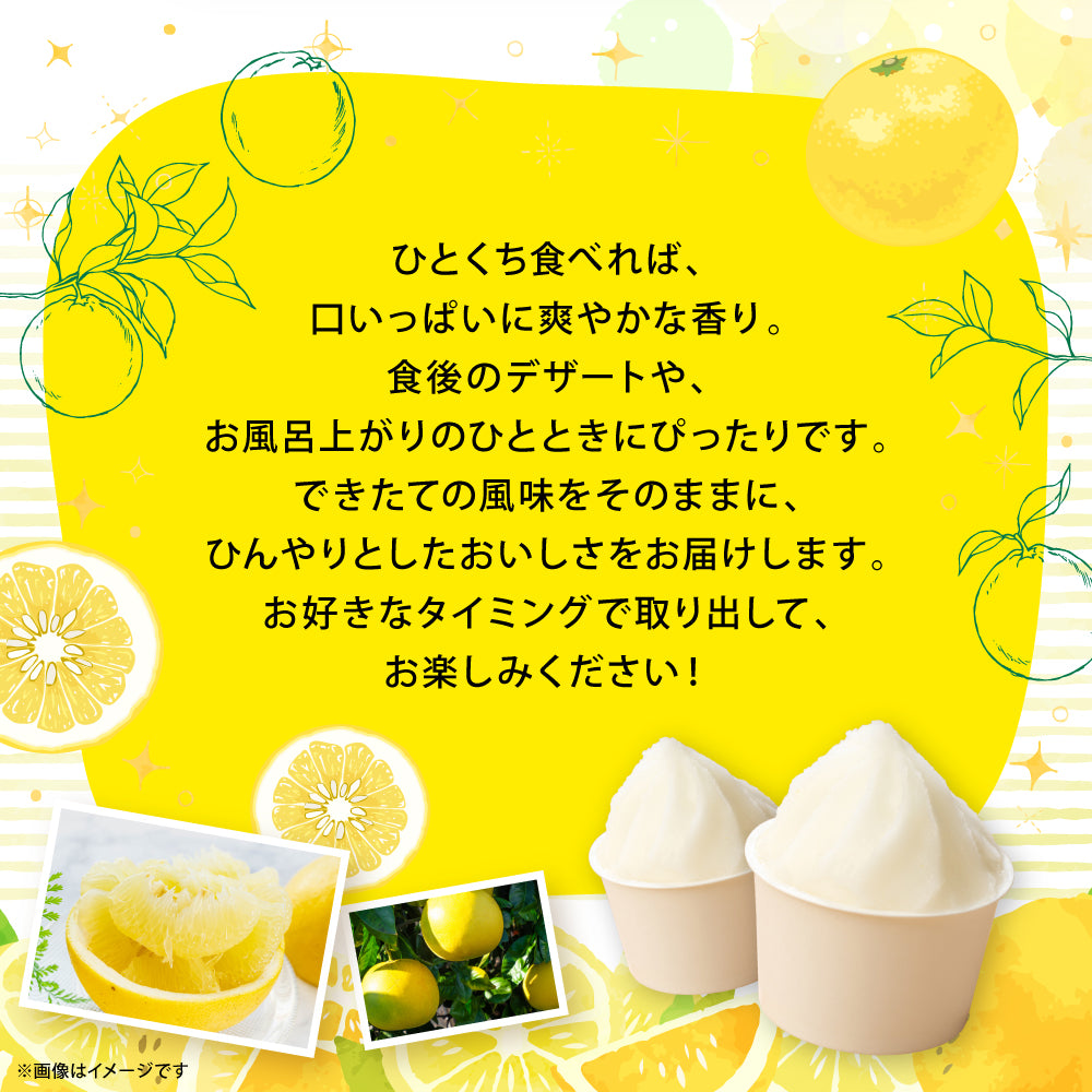 くまモンのシャーベット 世界一大きな柑橘(ザボン類)熊本県産晩白柚