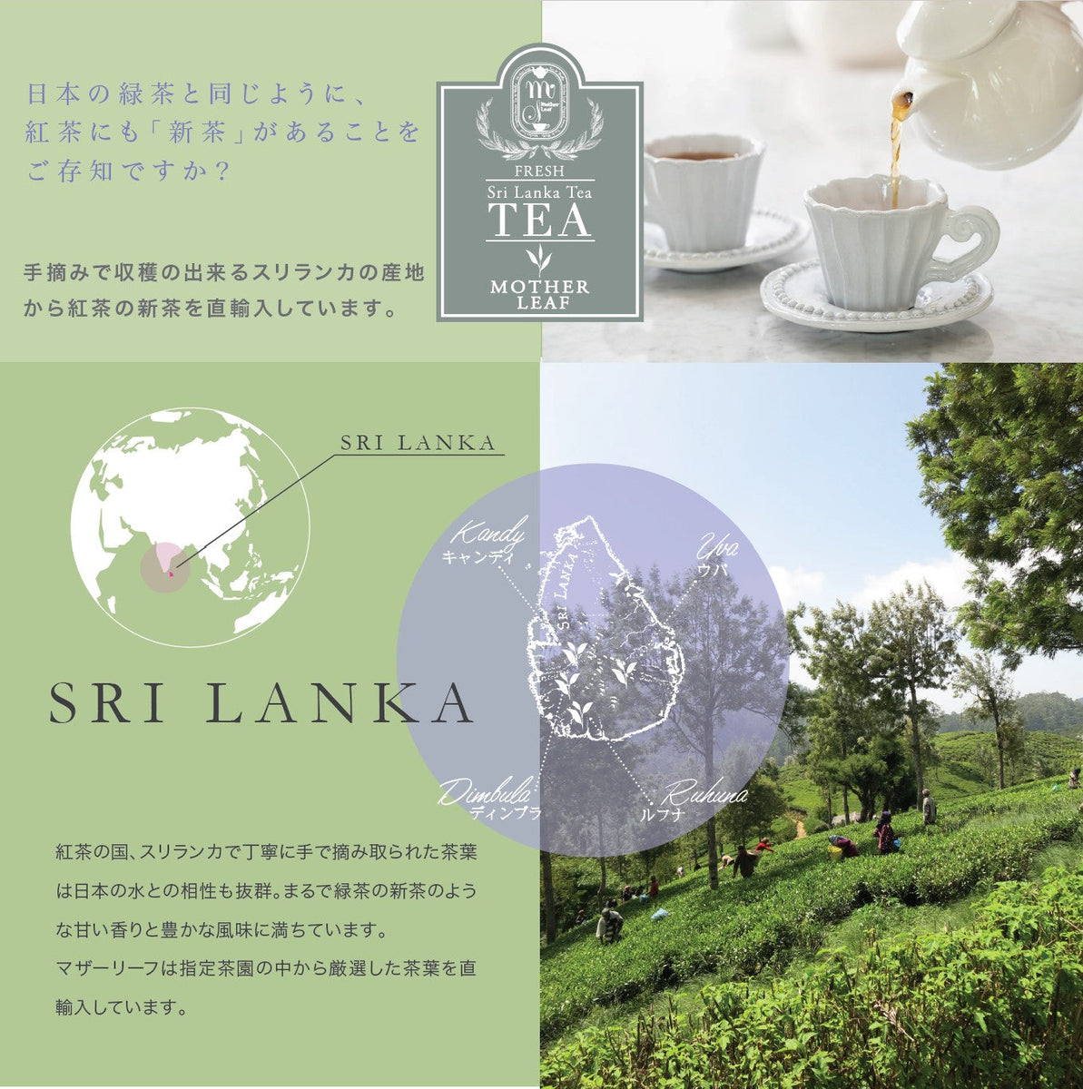 13teaofML_7f3f2f9c-bcbb-4ee9-